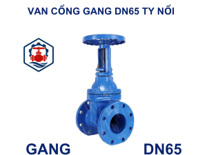 Van cổng gang DN65 ty nổi