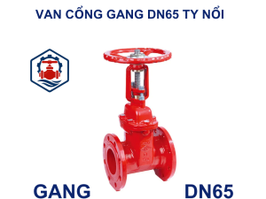 Van cổng gang DN65 ty nổi