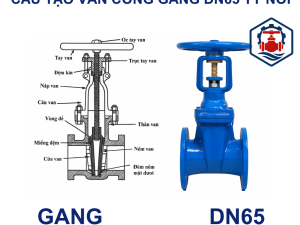 Cấu Tạo Van cổng gang DN65 ty nổi