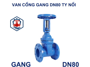 Van cổng gang DN80 ty nổi