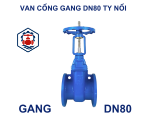 Van cổng gang DN80 ty nổi