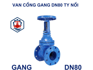 Van cổng gang DN80 ty nổi