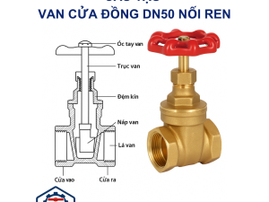 Van cửa đồng DN50 nối ren 8 Cấu Tạo Van cửa đồng DN50 nối ren
