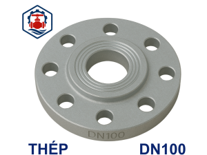 Mặt bích thép mạ kẽm DN100