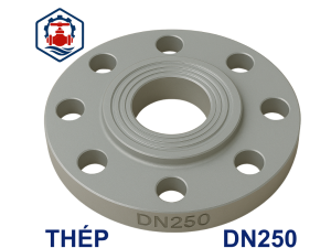 Mặt bích thép mạ kẽm DN250