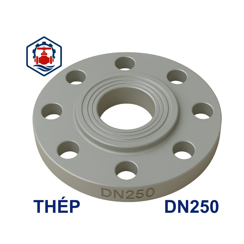 Mặt bích thép mạ kẽm DN250 2 Mặt bích thép mạ kẽm DN250
