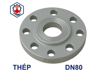 Mặt bích thép mạ kẽm DN80