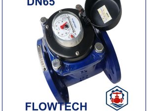 Đồng hồ nước Flowtech DN65