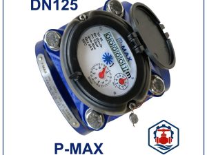 Đồng hồ nước Pmax DN125