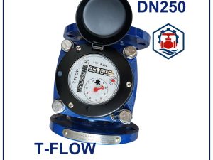 Đồng hồ nước T Flow DN250