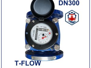 Đồng hồ nước T Flow DN300