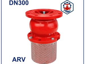 Rọ bơm ARV DN300