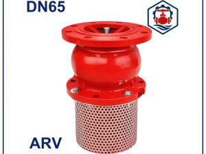 Rọ bơm ARV DN65