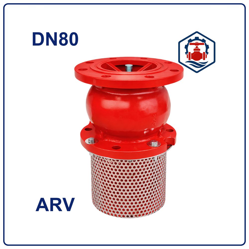 Rọ bơm ARV DN80 2 Rọ bơm ARV DN80
