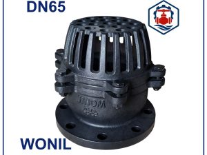 Rọ bơm gang Wonil DN65