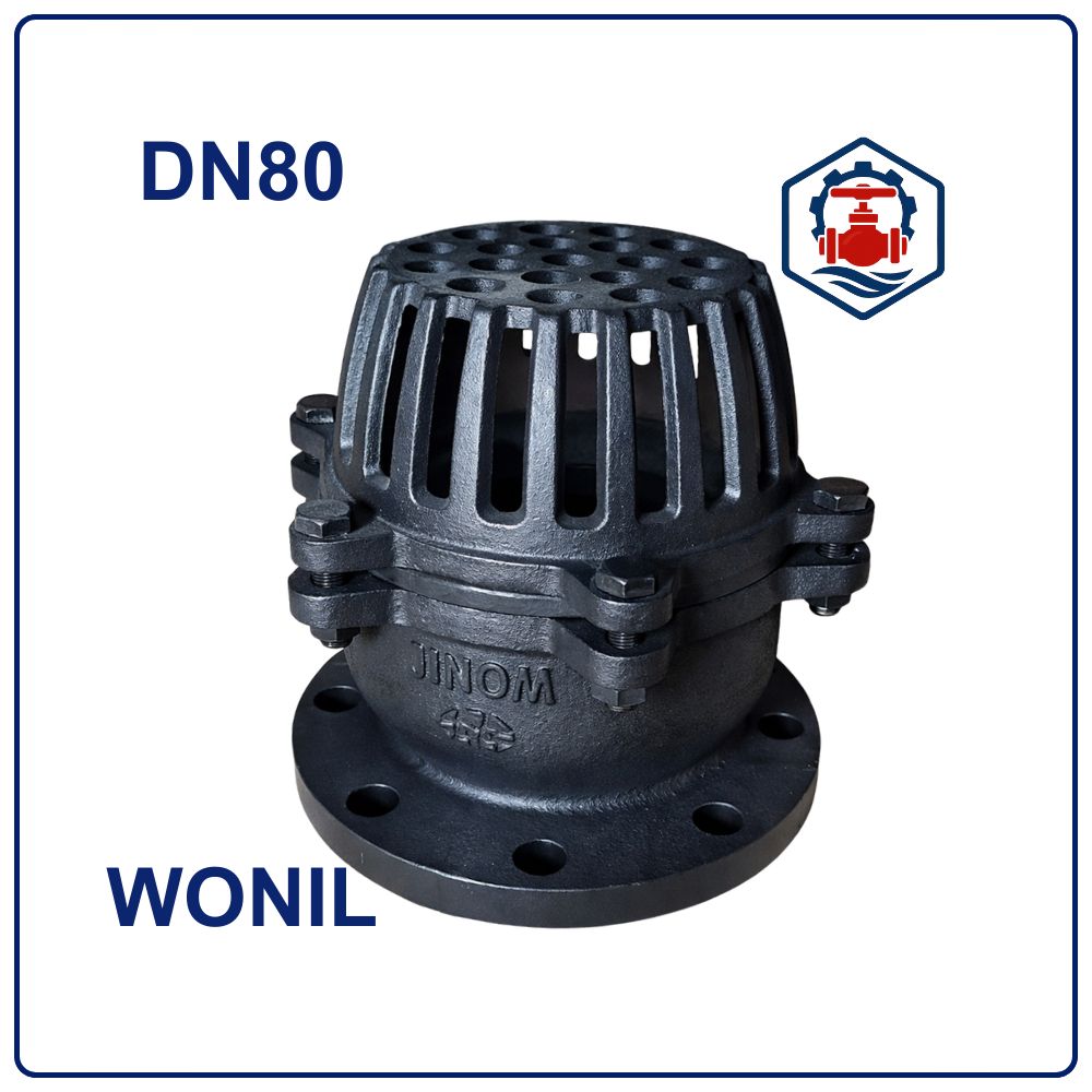 Rọ bơm gang Wonil DN80 2 Rọ bơm gang Wonil DN80