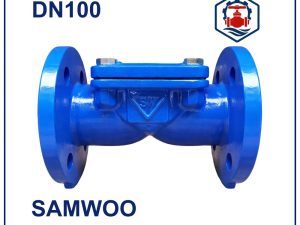 Van 1 chiều lá lật Samwoo DN100