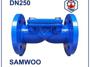 Van 1 chiều lá lật Samwoo DN250