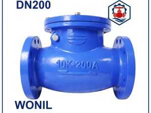 Van 1 chiều lá lật Wonil DN200