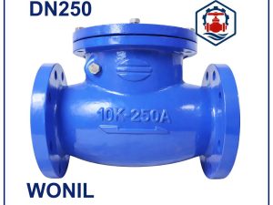 Van 1 chiều lá lật Wonil DN250
