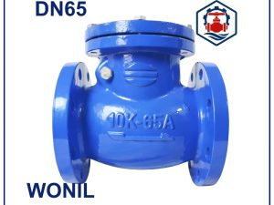Van 1 chiều lá lật Wonil DN65