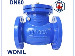 Van 1 chiều lá lật Wonil DN80
