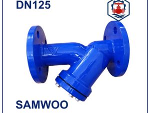 Van Y lọc Samwoo DN125