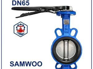 Van bướm tay gạt Samwoo DN65