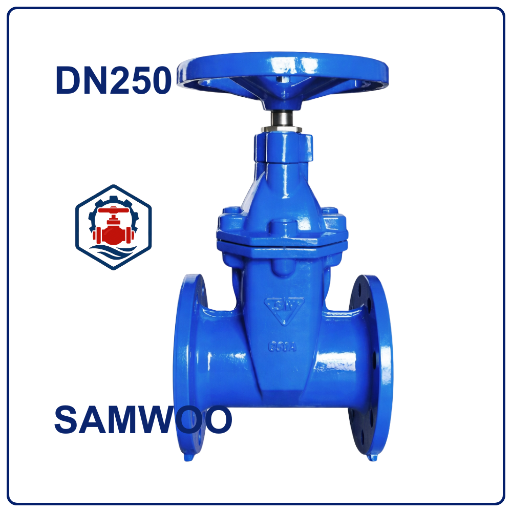 Van cổng Samwoo DN250 2 Van cổng Samwoo DN250