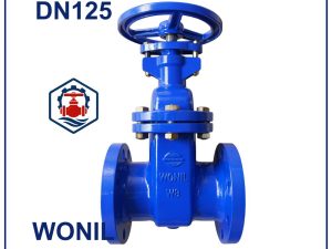 Van cổng gang Wonil DN125