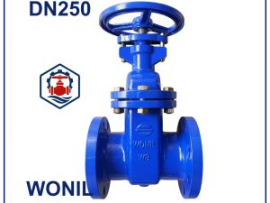 Van cổng gang Wonil DN250