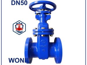 Van cổng gang Wonil DN50