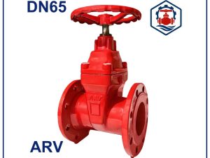 Van cổng ty chìm ARV DN65