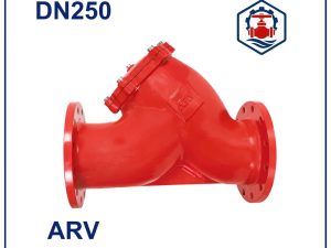 Y lọc ARV DN250