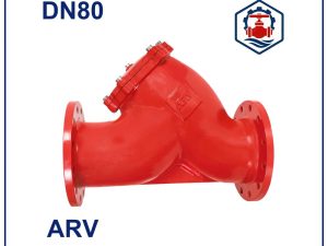 Y lọc ARV DN80