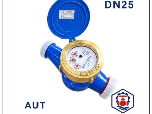 Đồng hồ nước AUT DN25