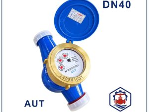 Đồng hồ nước AUT DN40