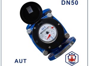 Đồng hồ nước AUT DN50