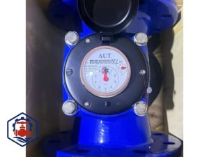 Đồng hồ nước AUT mặt bích