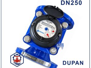 Đồng hồ nước Dupan DN250